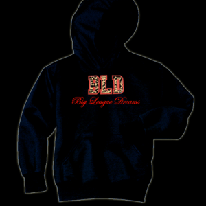 Youth Hoodie BLD Cheetah