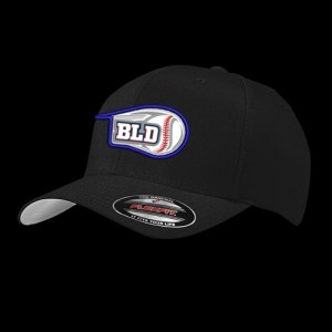 Food / Beverage Flex-Fit Cap